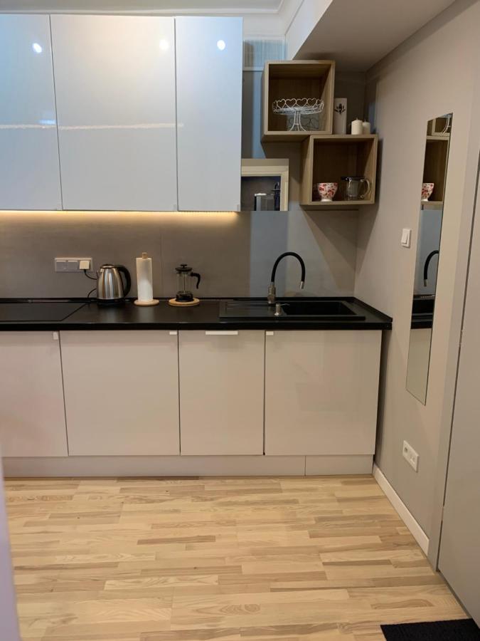 Petit Appartement Krasków Εξωτερικό φωτογραφία